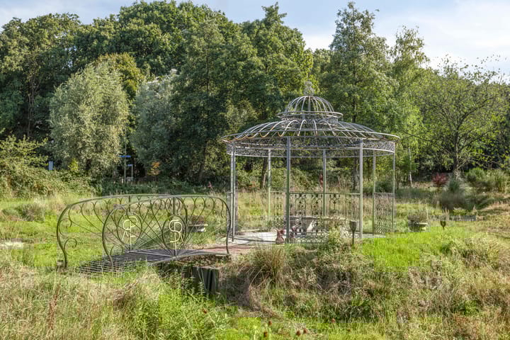 Foto 79 van Driehuizerweg 10