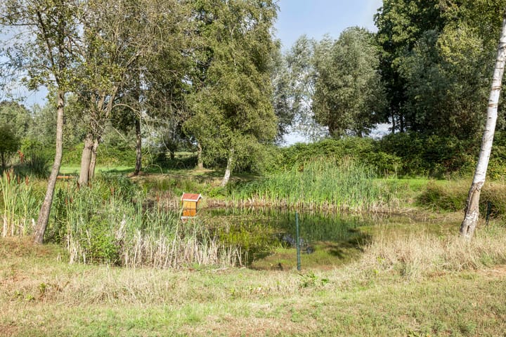 Foto 81 van Driehuizerweg 10