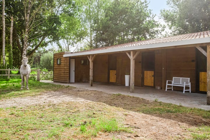 Foto 82 van Driehuizerweg 10