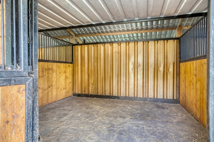 Foto 83 van Driehuizerweg 10