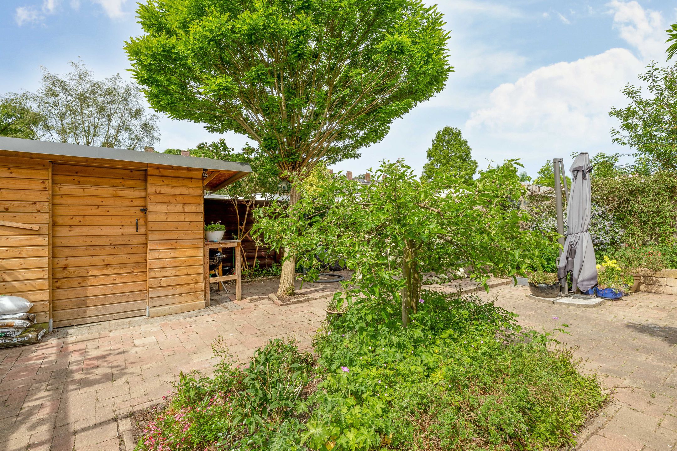 Photo 18 of Irispark 110