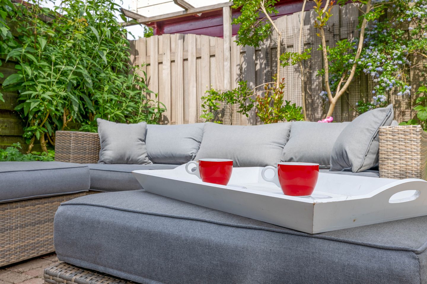 Photo 19 of Irispark 110