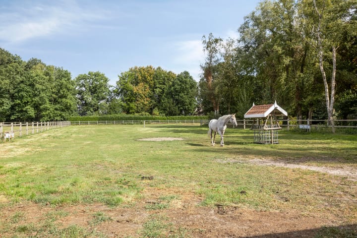 Foto 85 van Driehuizerweg 10