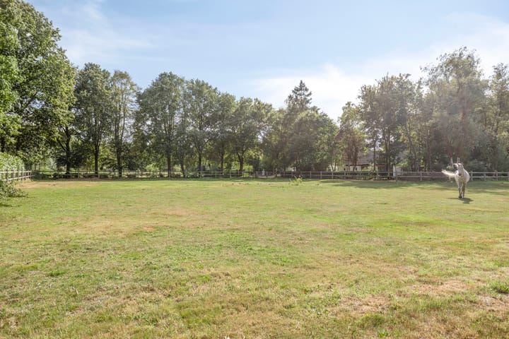 Foto 86 van Driehuizerweg 10