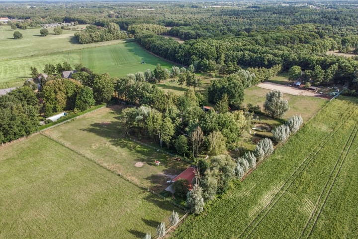 Foto 88 van Driehuizerweg 10