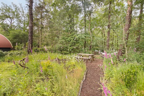 Bergweg 76-R459 tertiary image