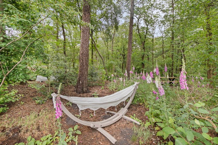 Foto 23 van Bergweg 76-R459