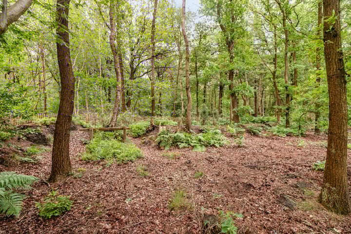 Foto 25 van Bergweg 76-R459