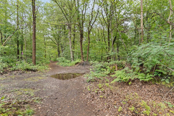 Foto 34 van Bergweg 76-R459