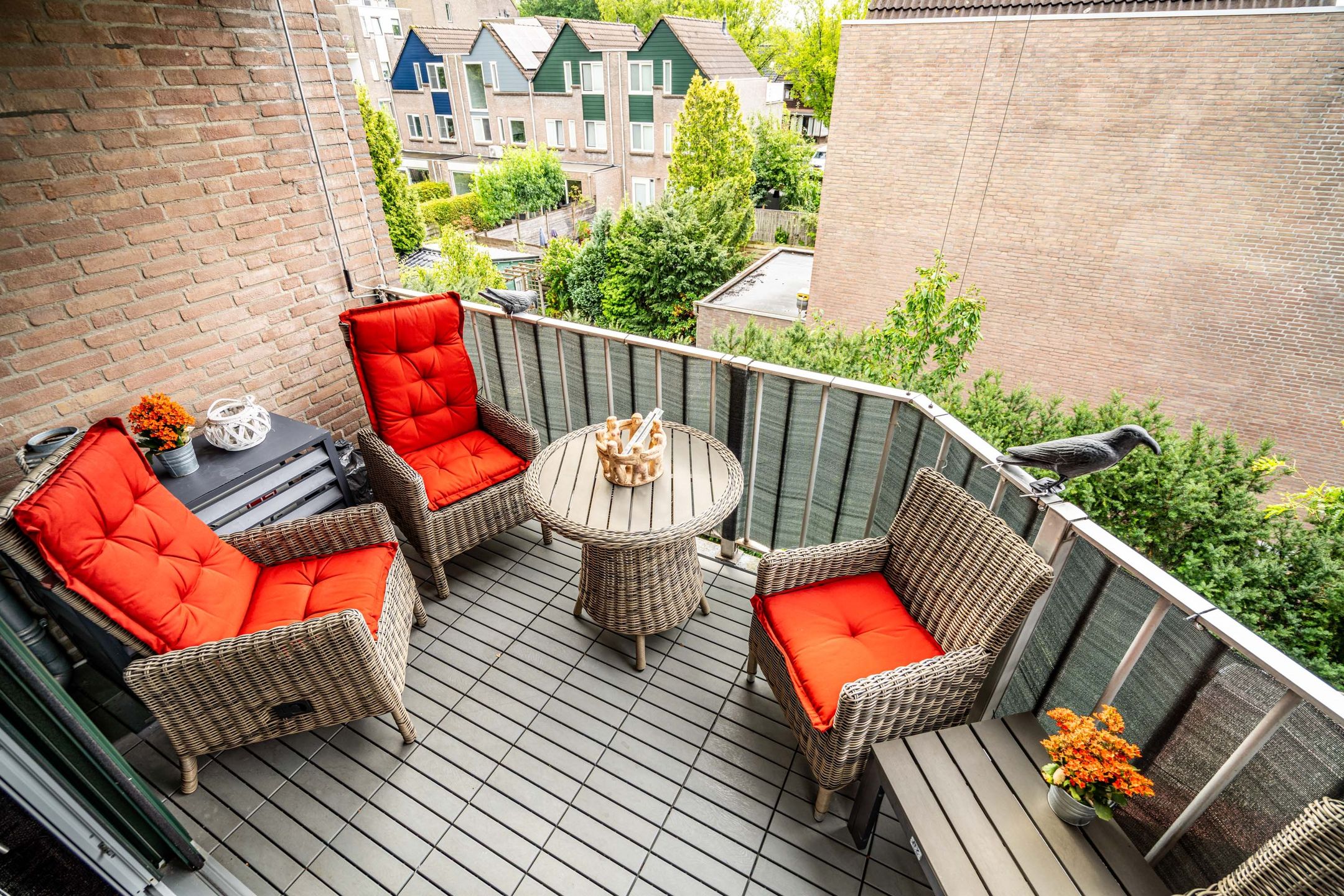 Foto 3 van Koraalzwam 125