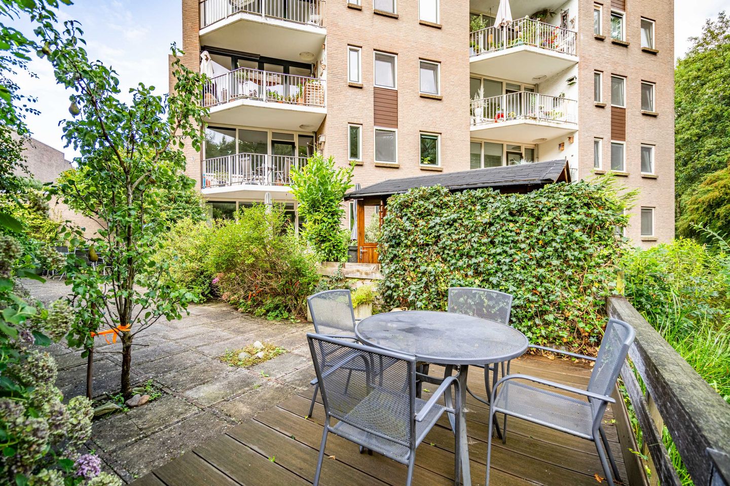 Foto 4 van Koraalzwam 125