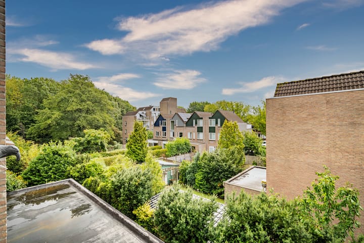 Foto 8 van Koraalzwam 125