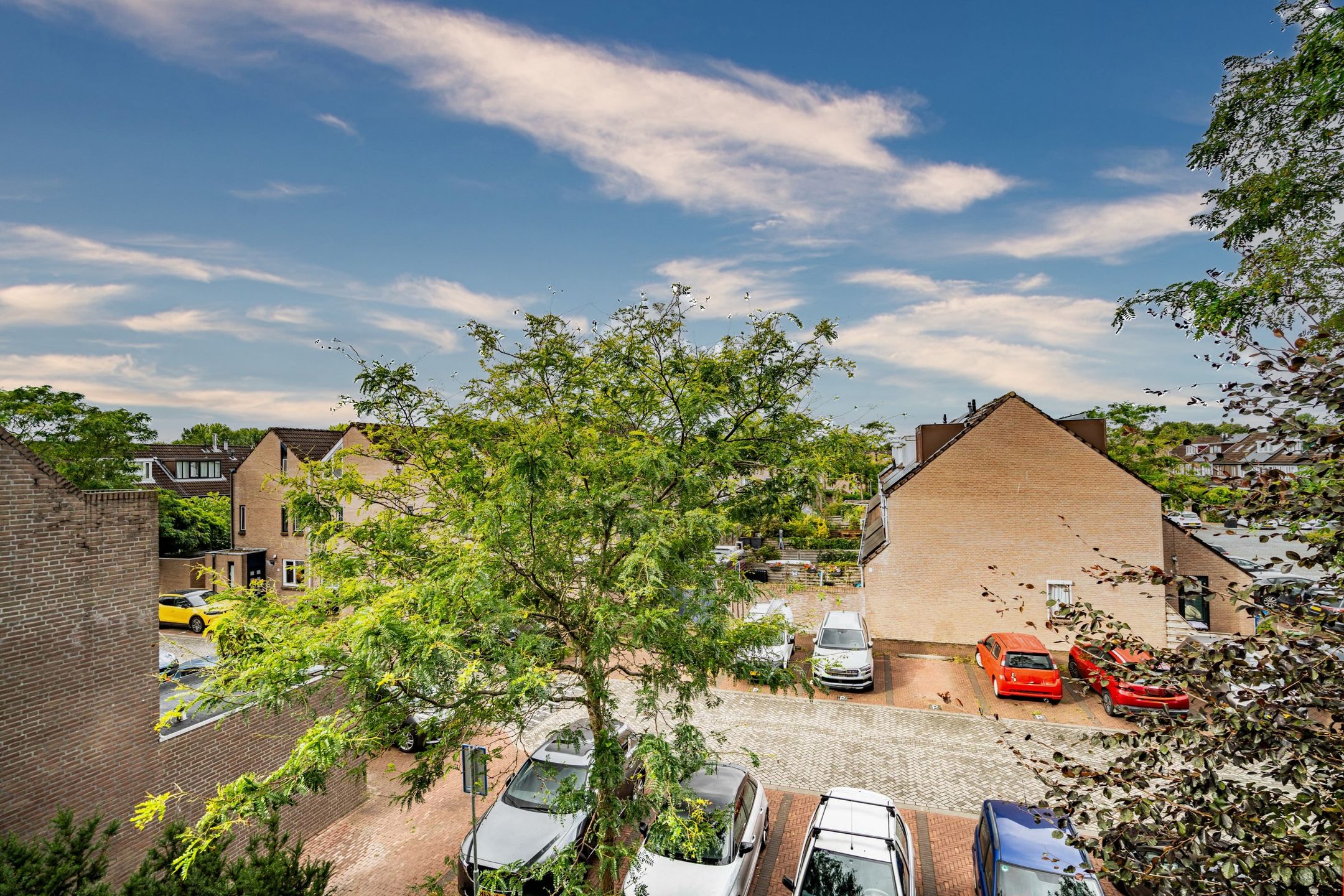 Foto 9 van Koraalzwam 125