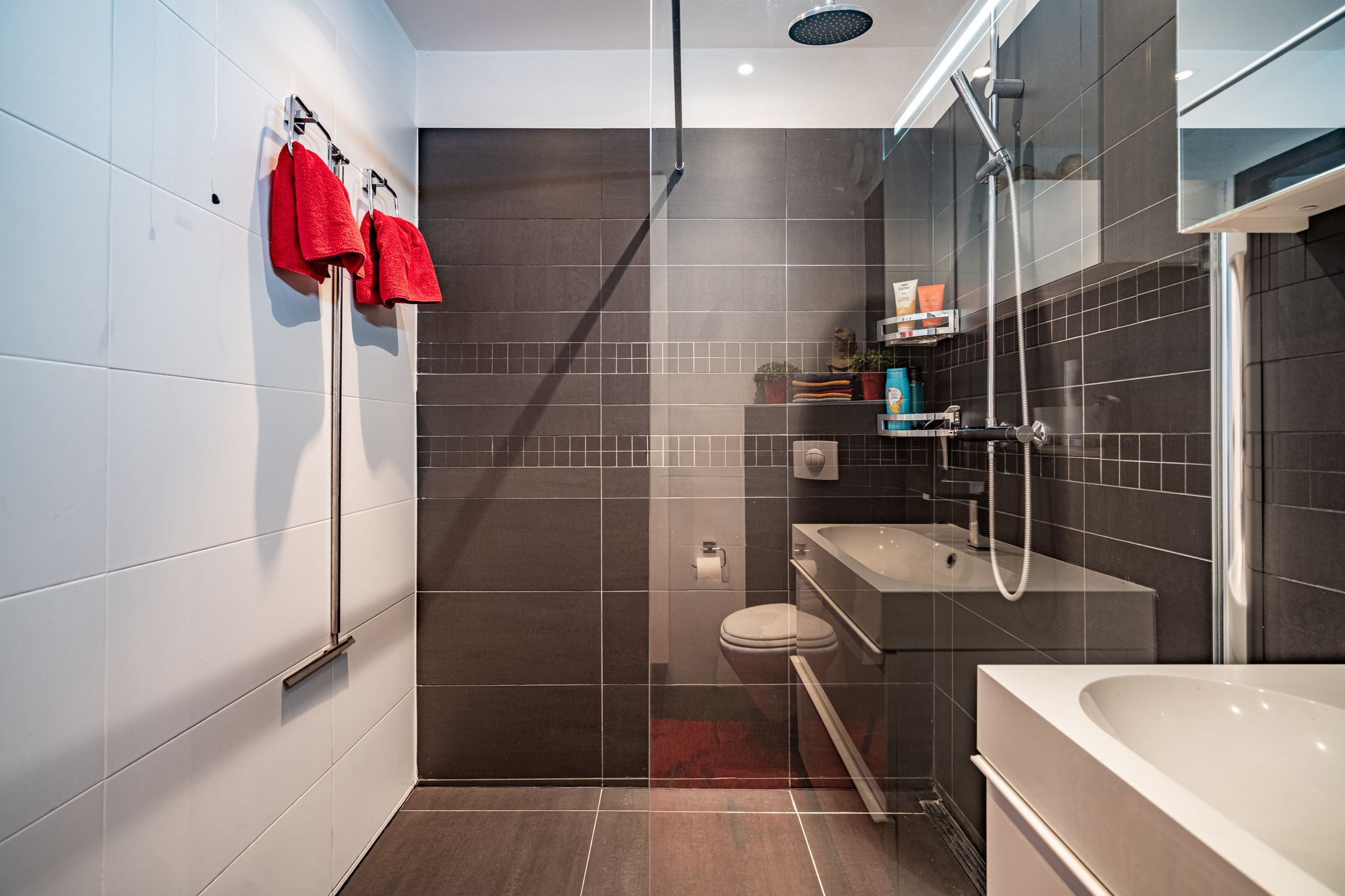 Foto 24 van Koraalzwam 125