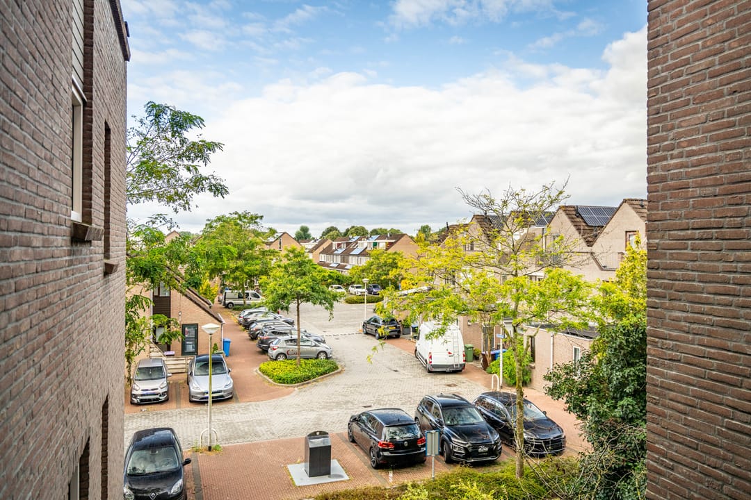 Foto 31 van Koraalzwam 125