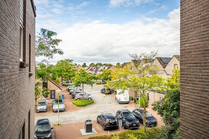 Foto 31 van Koraalzwam 125