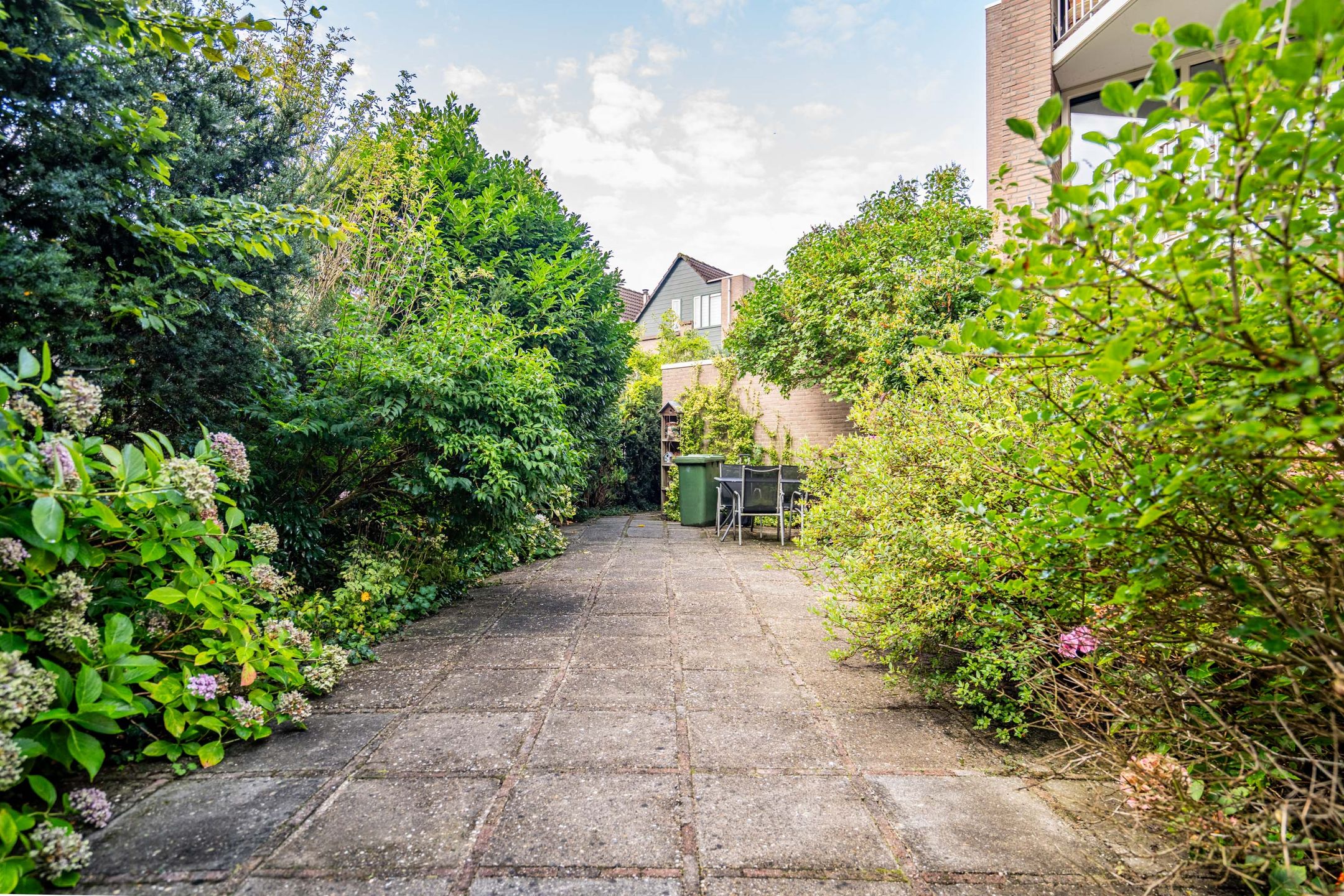 Foto 33 van Koraalzwam 125