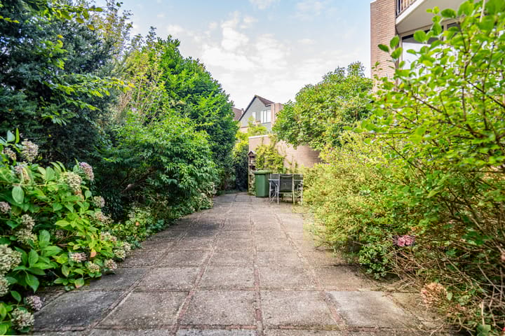 Foto 33 van Koraalzwam 125