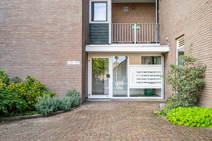 Foto 35 van Koraalzwam 125