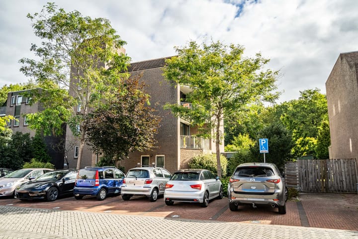 Foto 36 van Koraalzwam 125