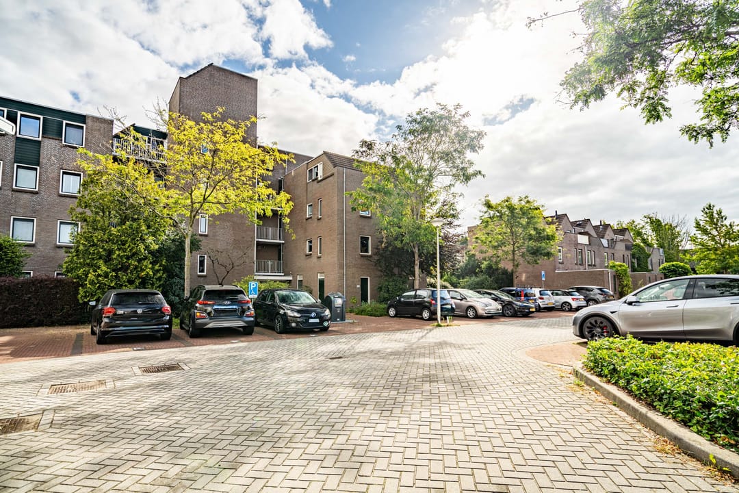 Foto 37 van Koraalzwam 125