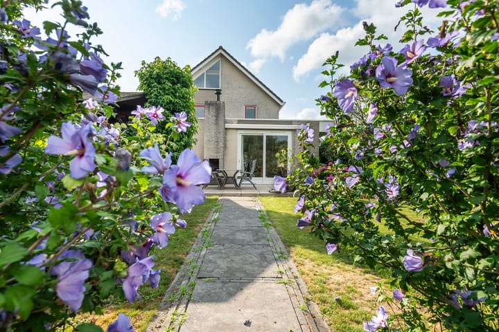 Photo 61 of Wetering 29