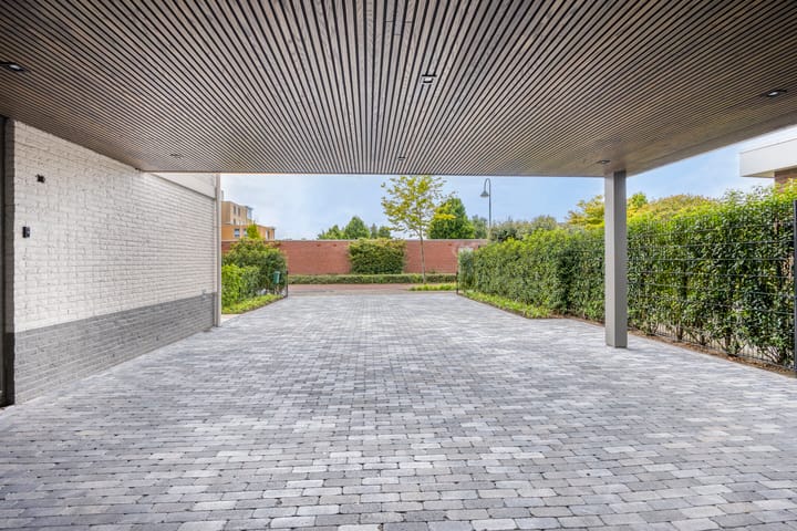 Foto 6 van Herfsttuin 41