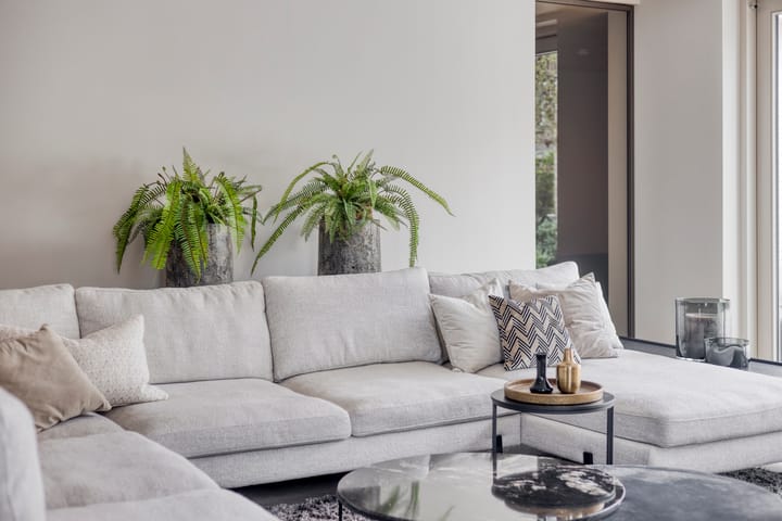 Foto 13 van Herfsttuin 41