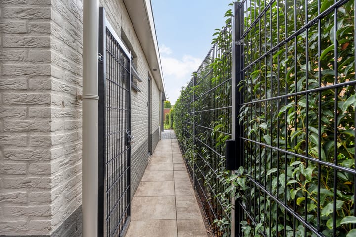 Foto 55 van Herfsttuin 41