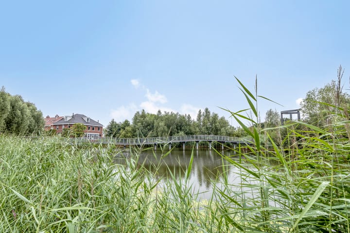 Foto 58 van Herfsttuin 41