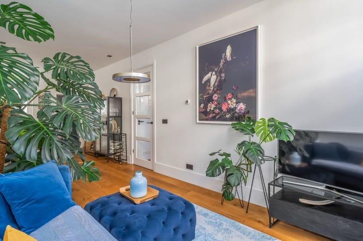 Foto 4 van Van Mierisstraat 32