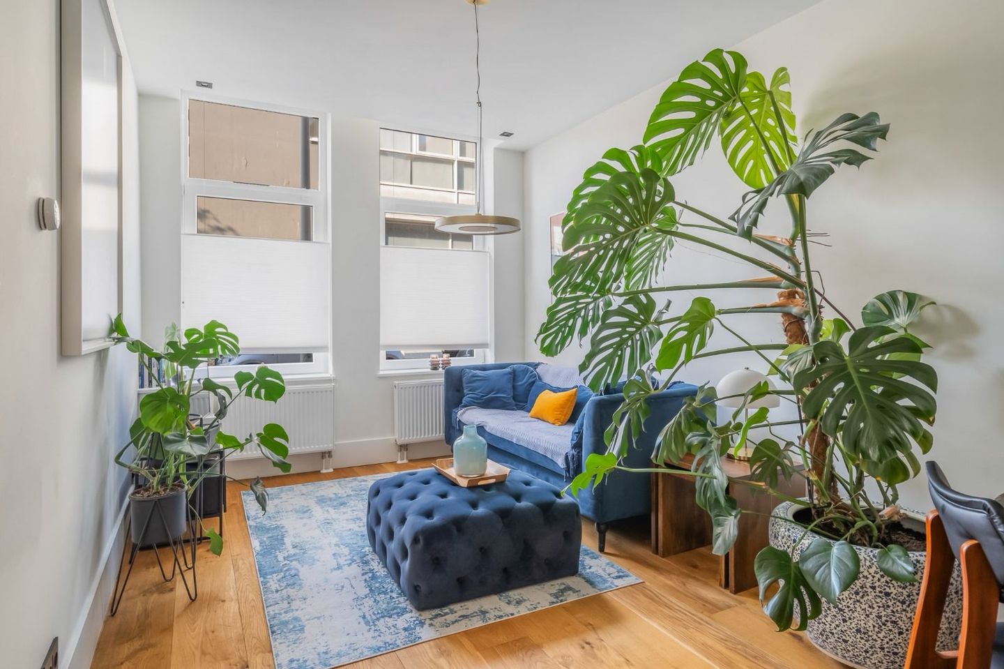 Foto 5 van Van Mierisstraat 32