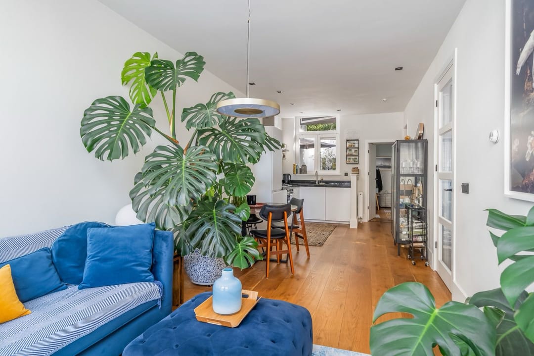 Foto 1 van Van Mierisstraat 32