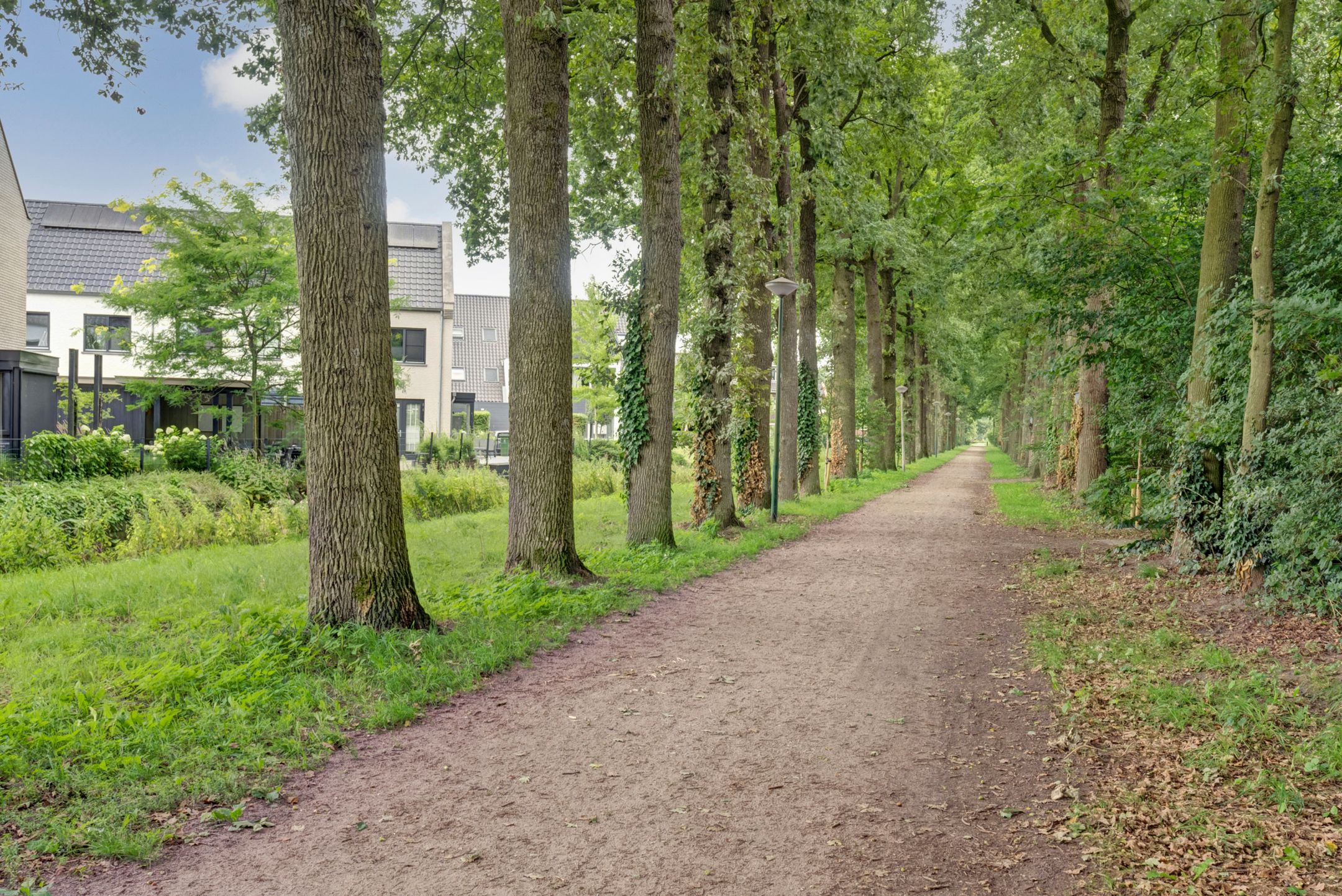 Foto 39 van Watersnipweide 55