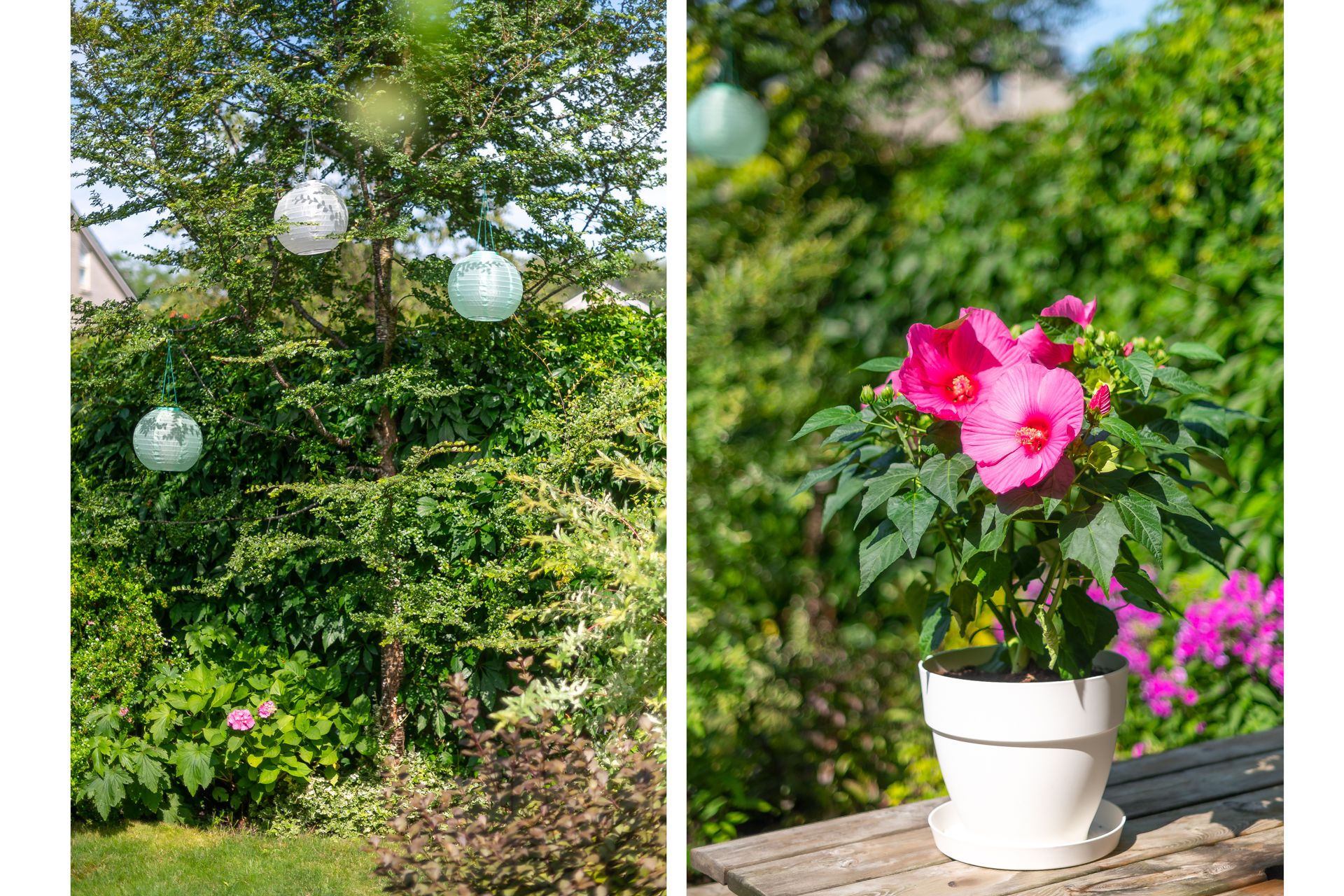 Foto 33 van De Goeijenmarke 56