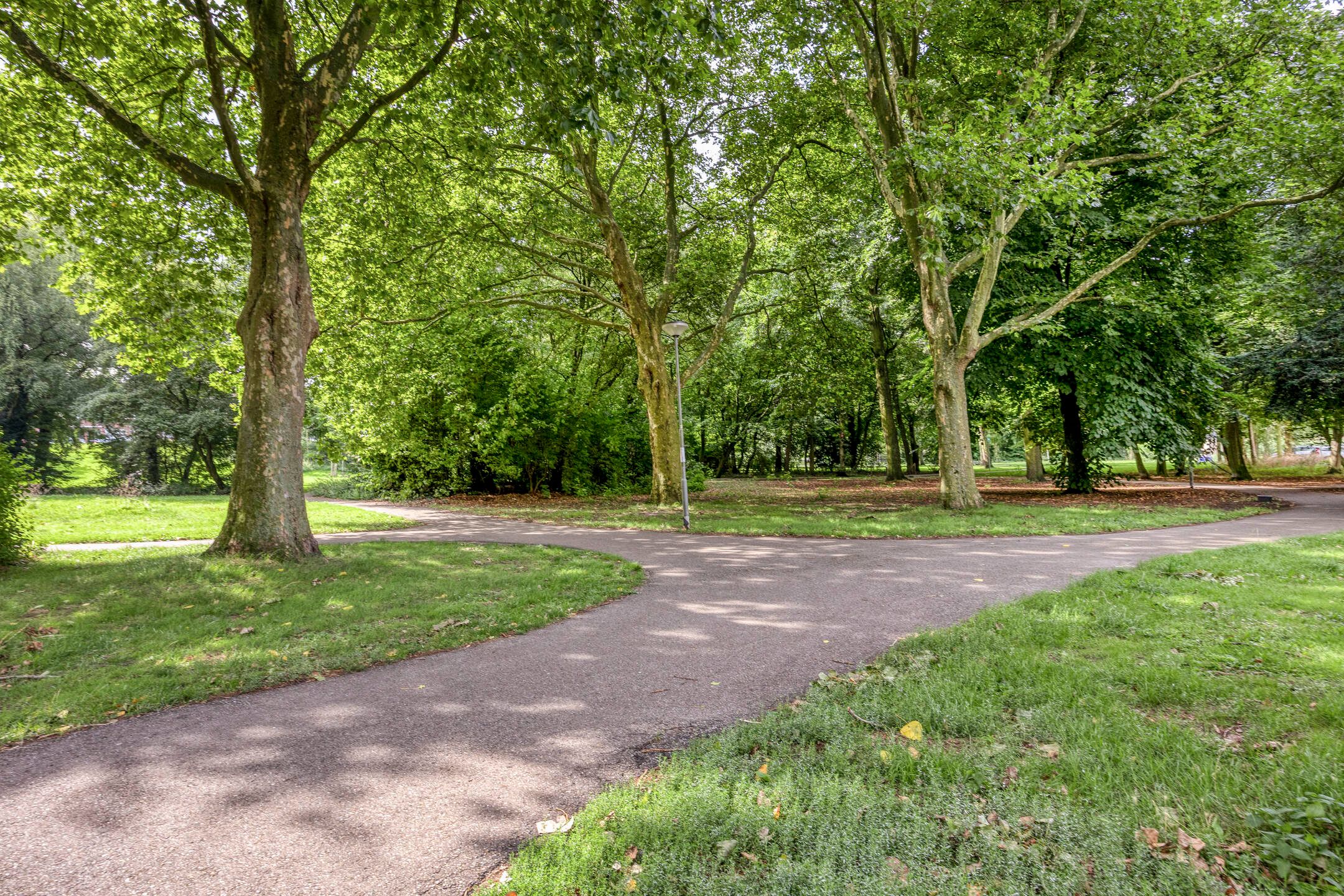 Photo 21 of Burgemeester Stulemeijerlaan 3