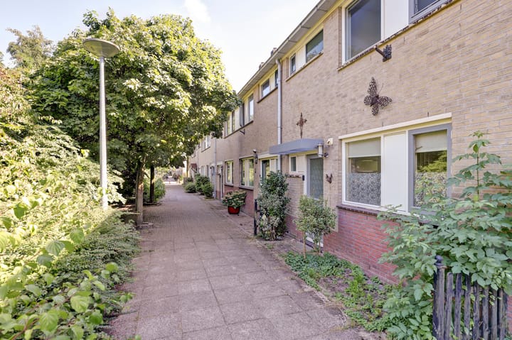 Foto 1 van Severijnpad 6