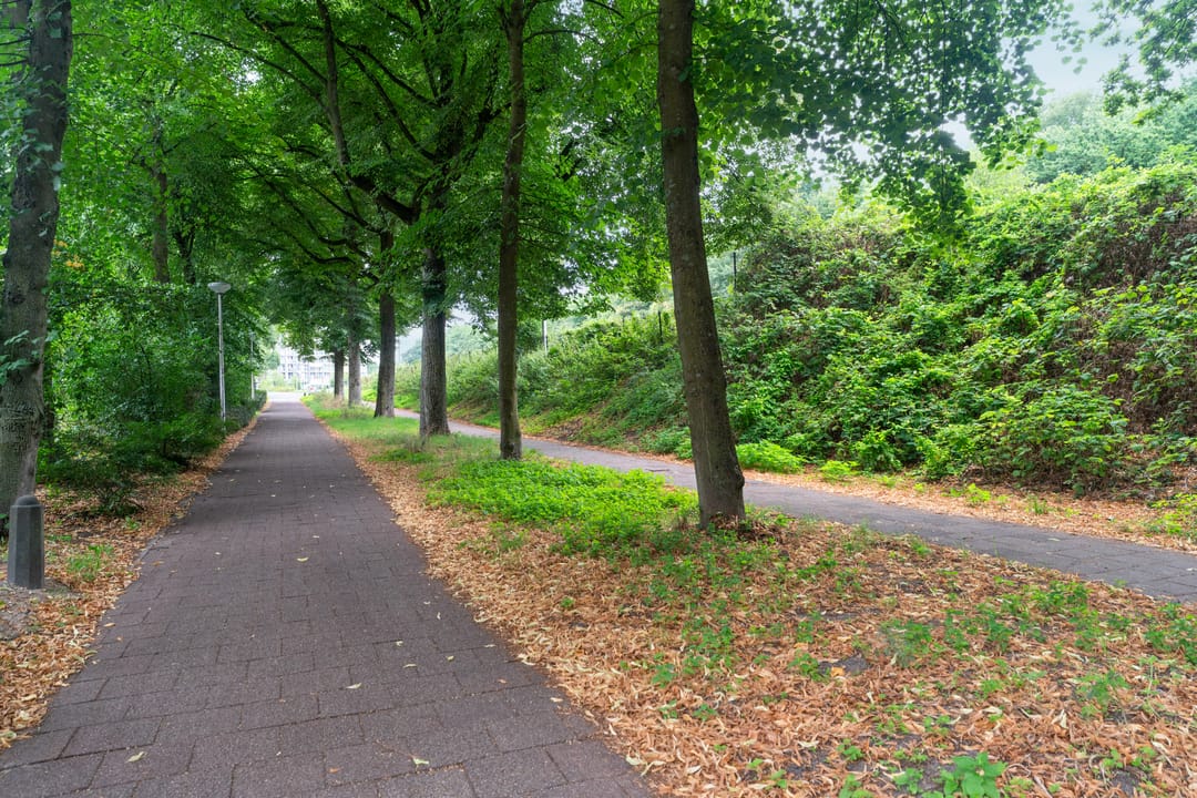 Foto 43 van Eerste Oude Heselaan 96
