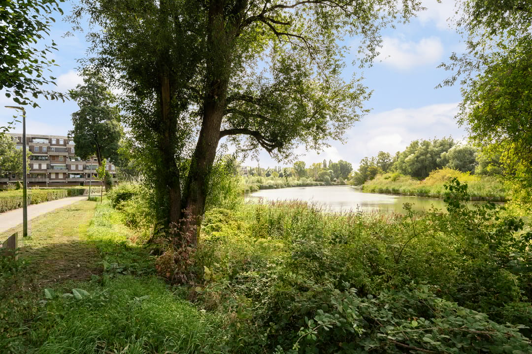 Foto 43 van Rivierenplein 31