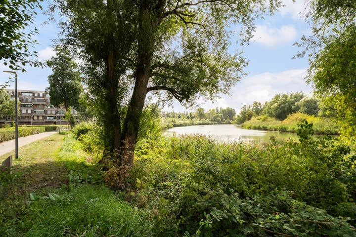 Foto 43 van Rivierenplein 31