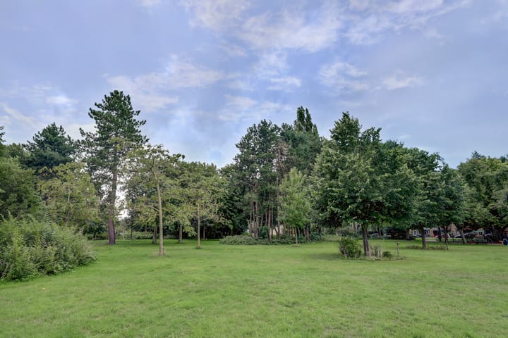 Foto 27 van Koekoekstraat 70