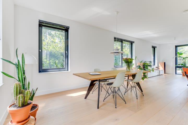 Foto 19 van Sleedoorn 17