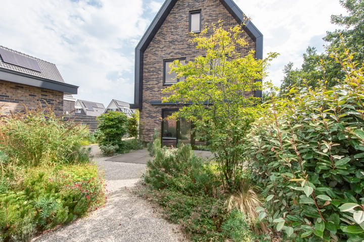 Foto 59 van Sleedoorn 17