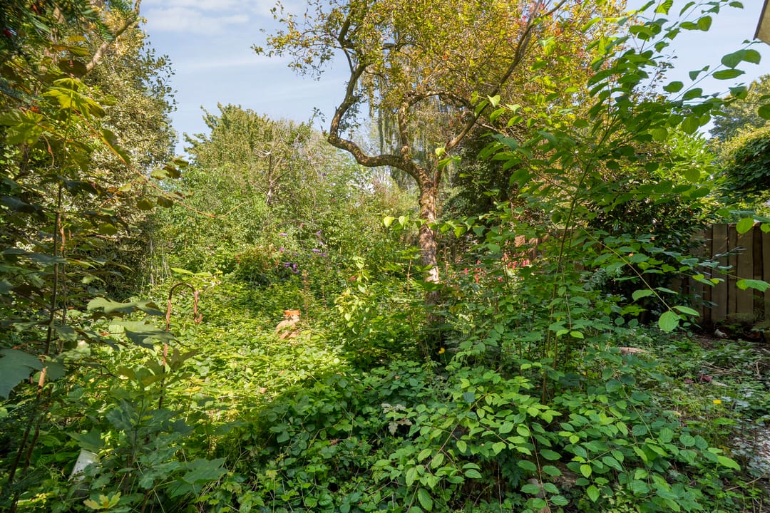 Photo 32 of Eerbeek 10
