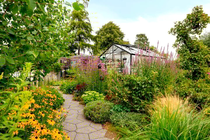 Foto 6 van IJsbout 23