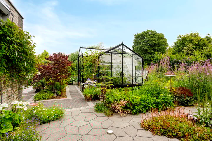 Foto 8 van IJsbout 23