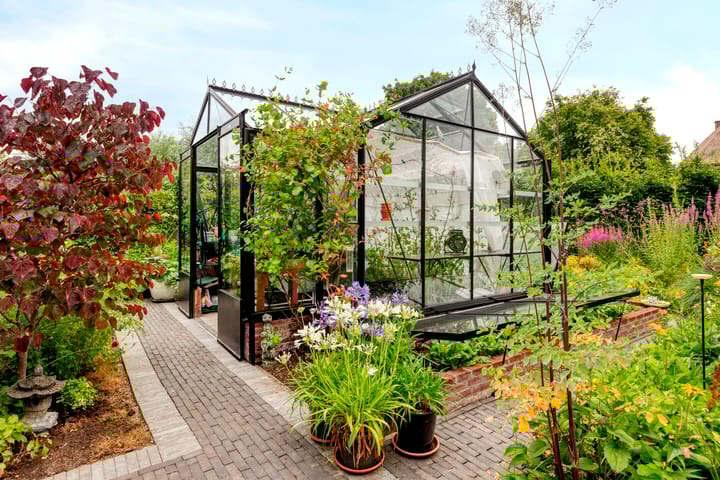 Foto 9 van IJsbout 23