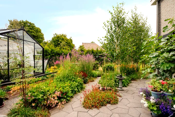 Foto 14 van IJsbout 23