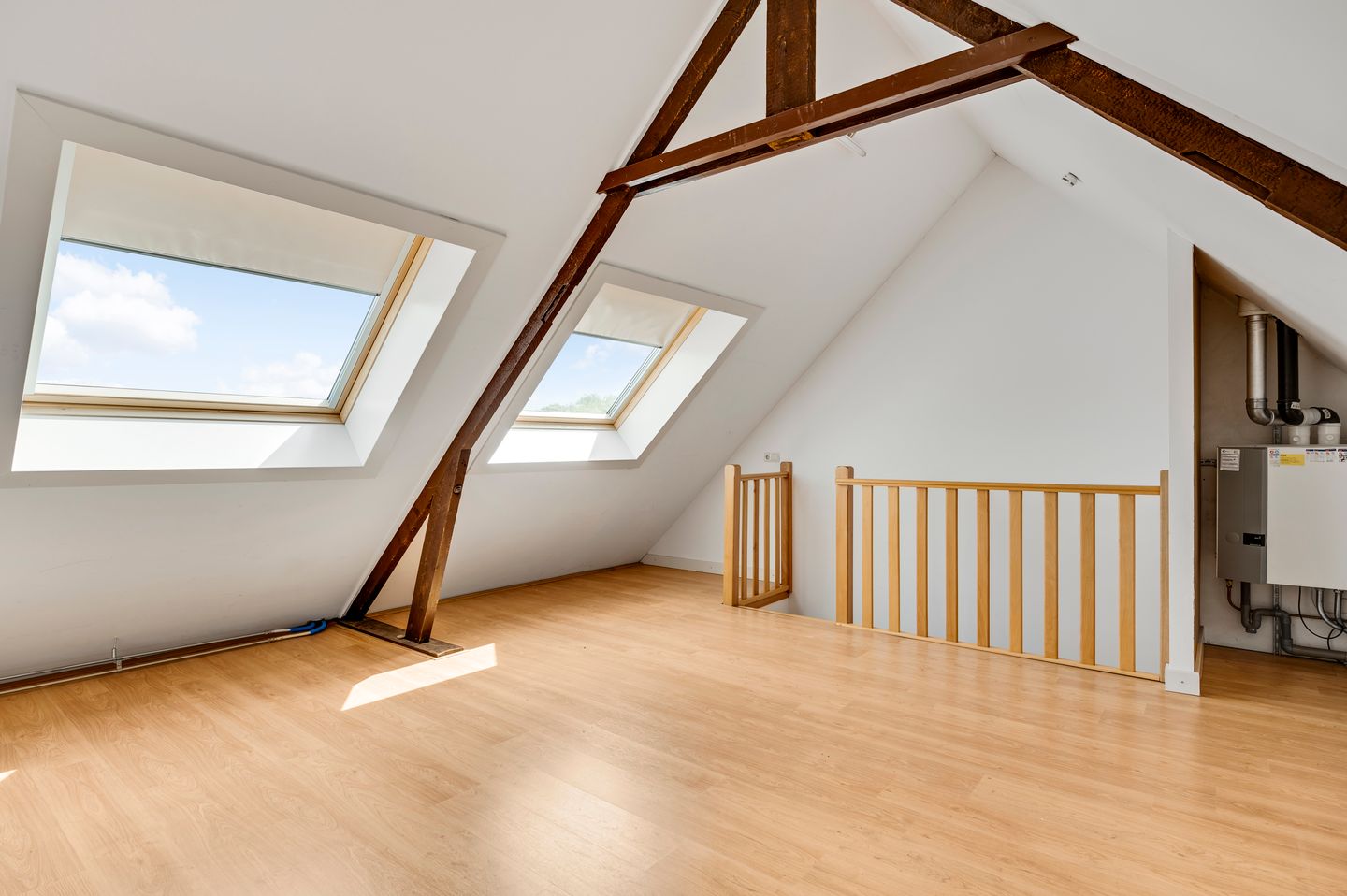 Foto 29 van Biest 108