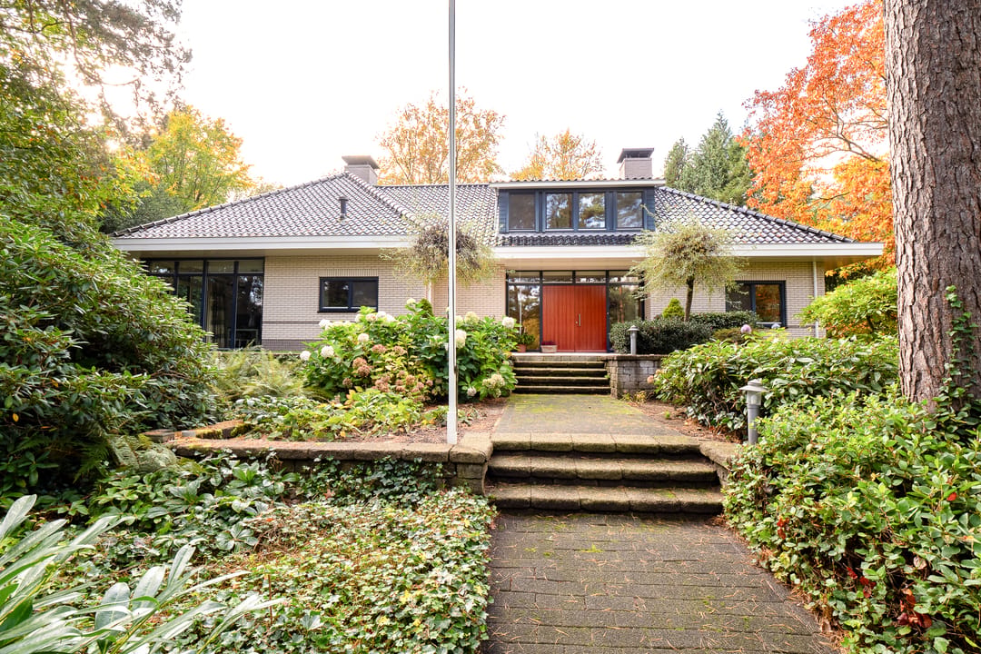 Foto 1 van Witte de Withlaan 9